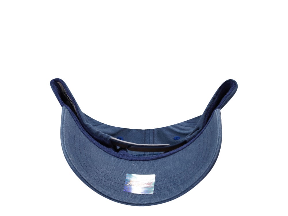 Hatfield Baby Shark Blue Snapback Cap