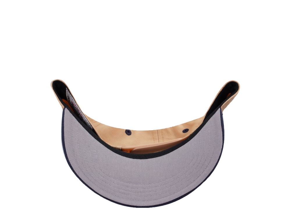 American Needle Yellowstone National Park Roscoe Beige Snapback Cap