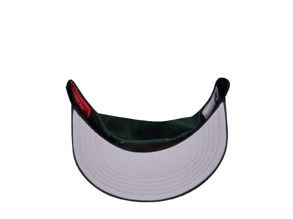 American Needle Mack Truck Valin Dark Green Snapback Cap