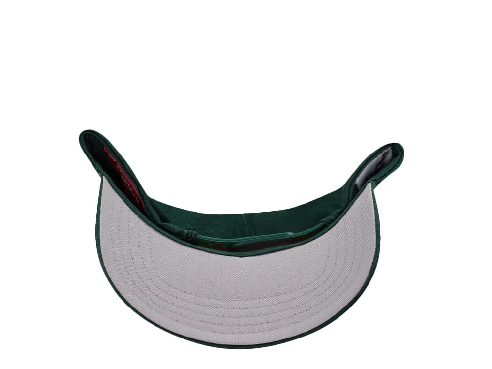 American Needle Mack Truck Twill Valin Patch Green Snapback Cap